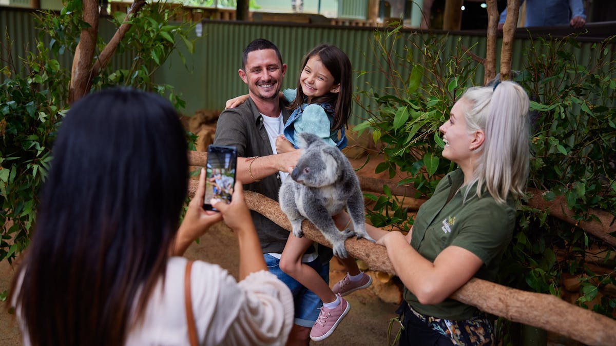 A family are inside the koala enclosure with a wildlife keeper, a koala sitting on a branch