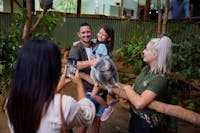 A family are inside the koala enclosure with a wildlife keeper, a koala sitting on a branch