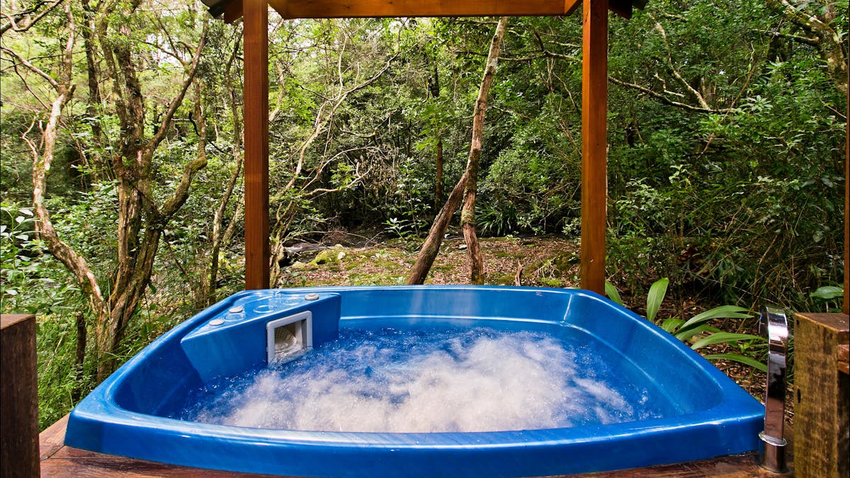 Mouses House - Rainforest Retreat, The