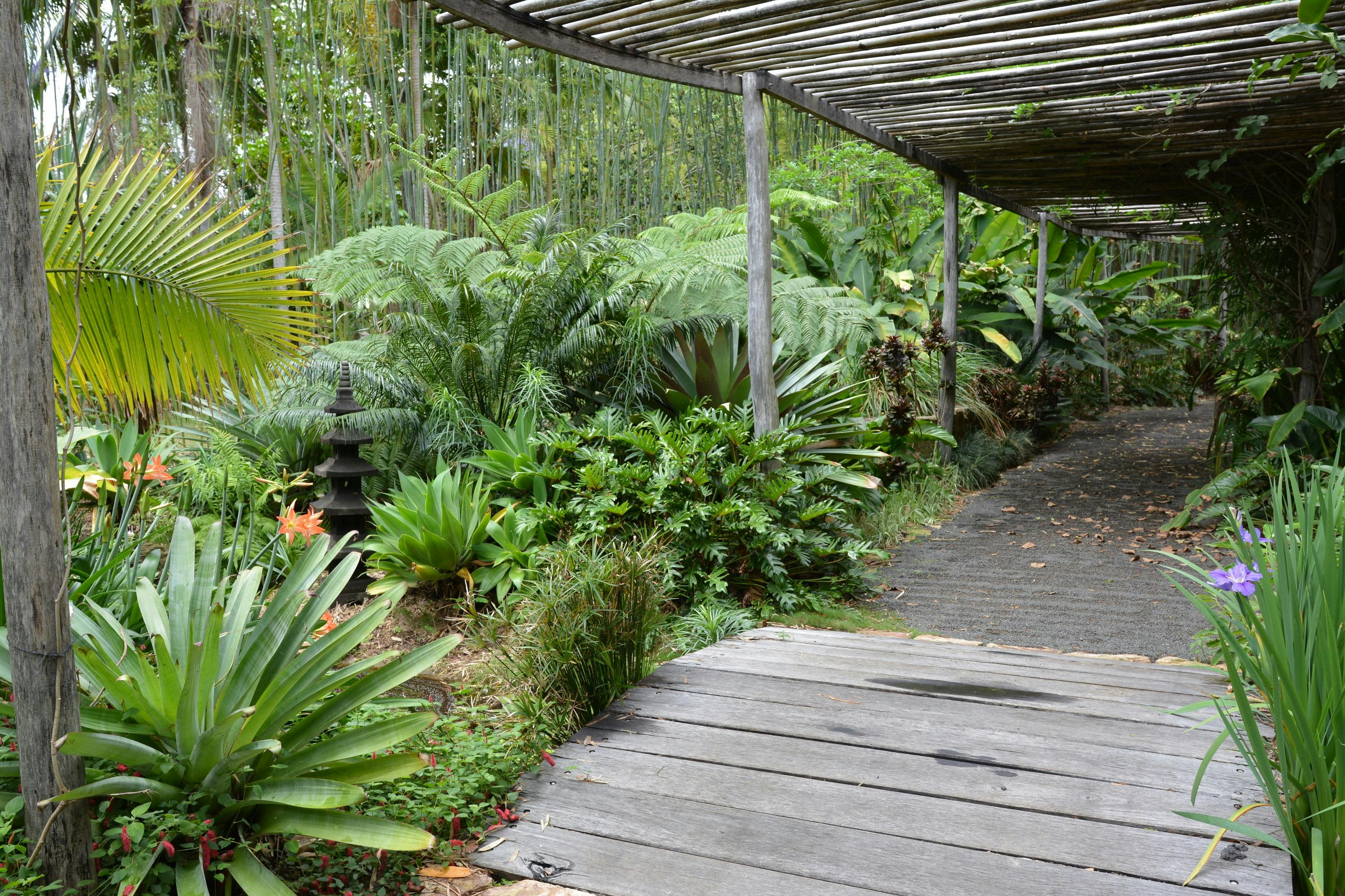 Path through tropical garden