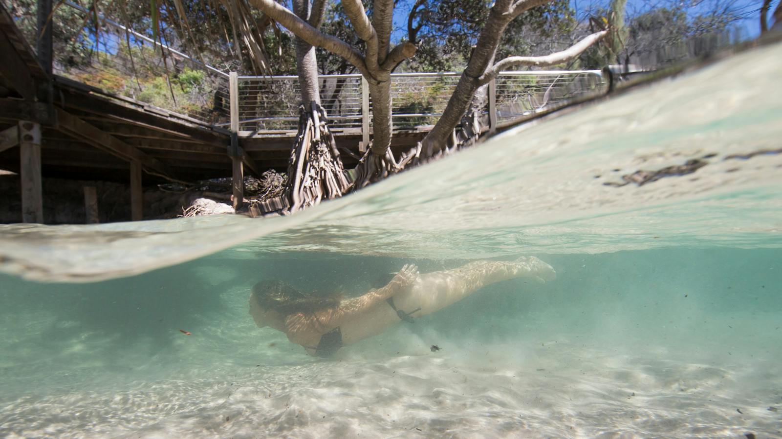 Eli Creek, Fraser Island.