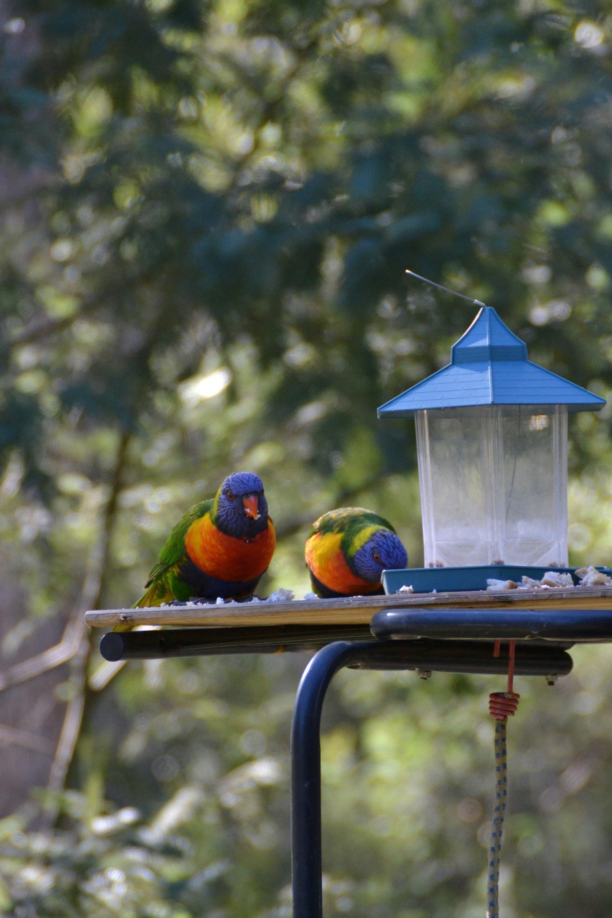 Lazy Days Bed and Breakfast