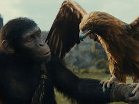 Kingdom Of The Planet Of The Apes - Preview Screenings at Dendy Cinemas Portside Cover Image