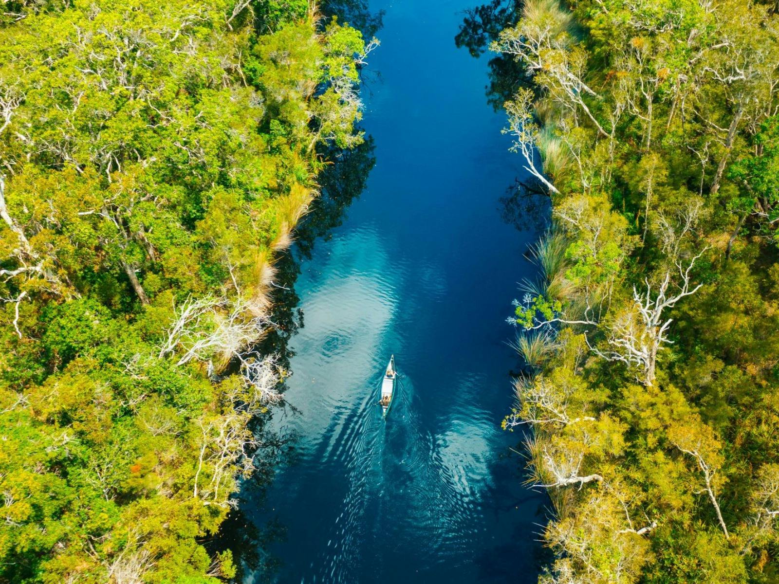 Cruise on the Noosa Everglades