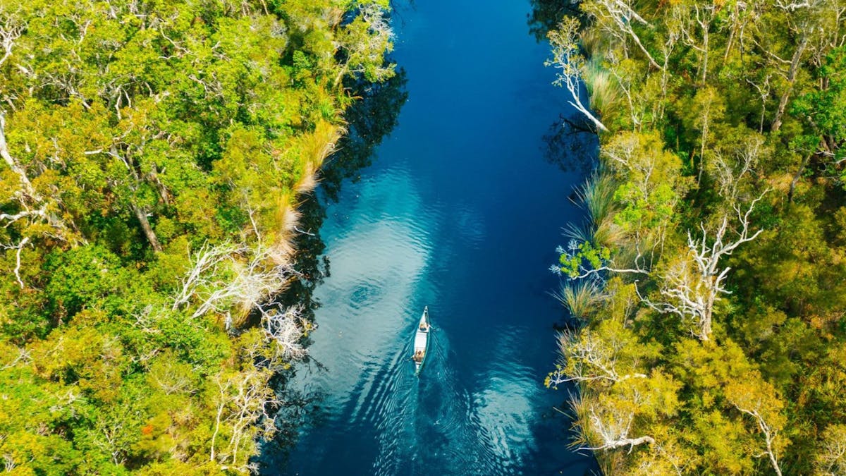 Cruise on the Noosa Everglades