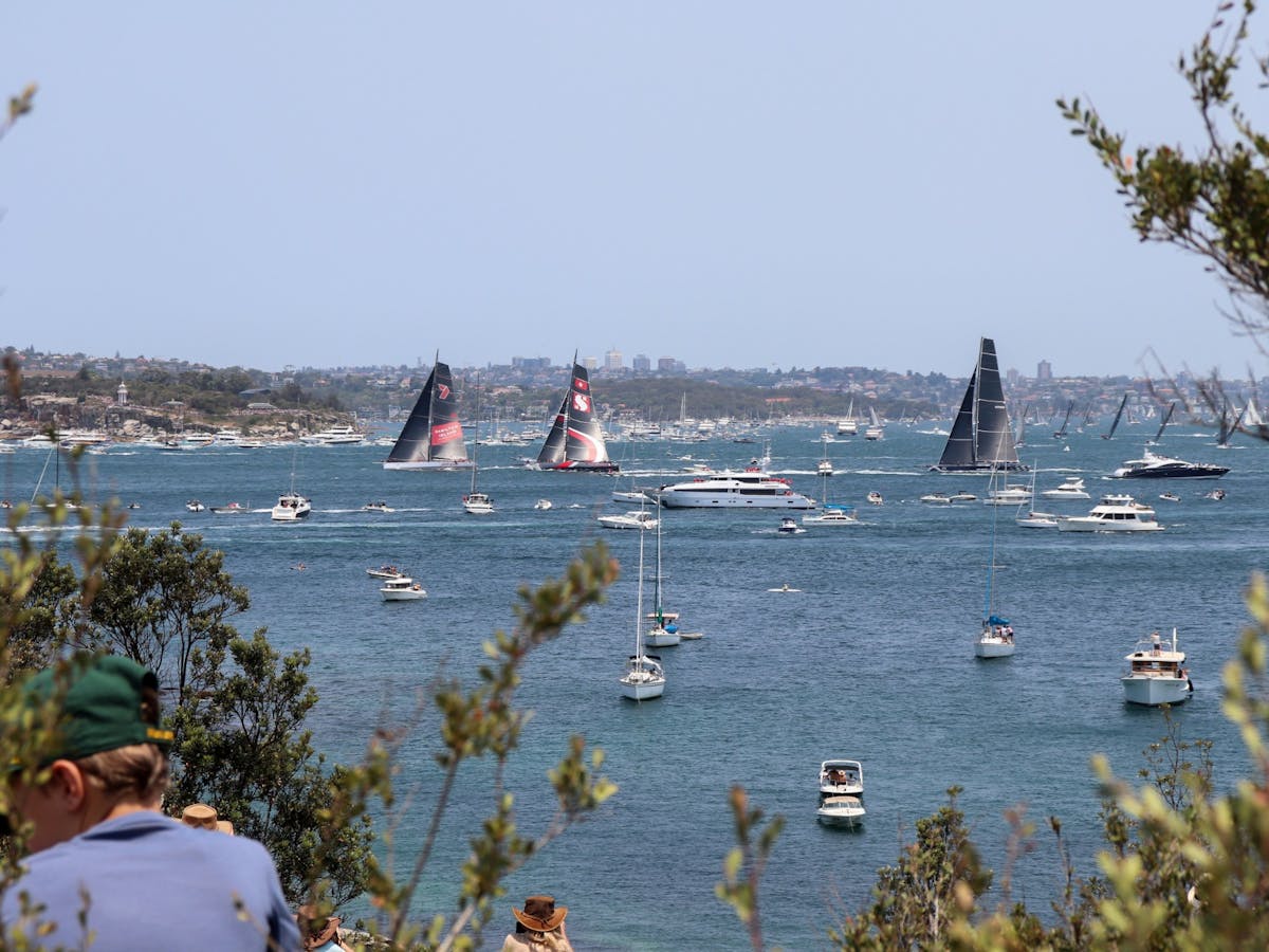 Boats in Sydney Harbour