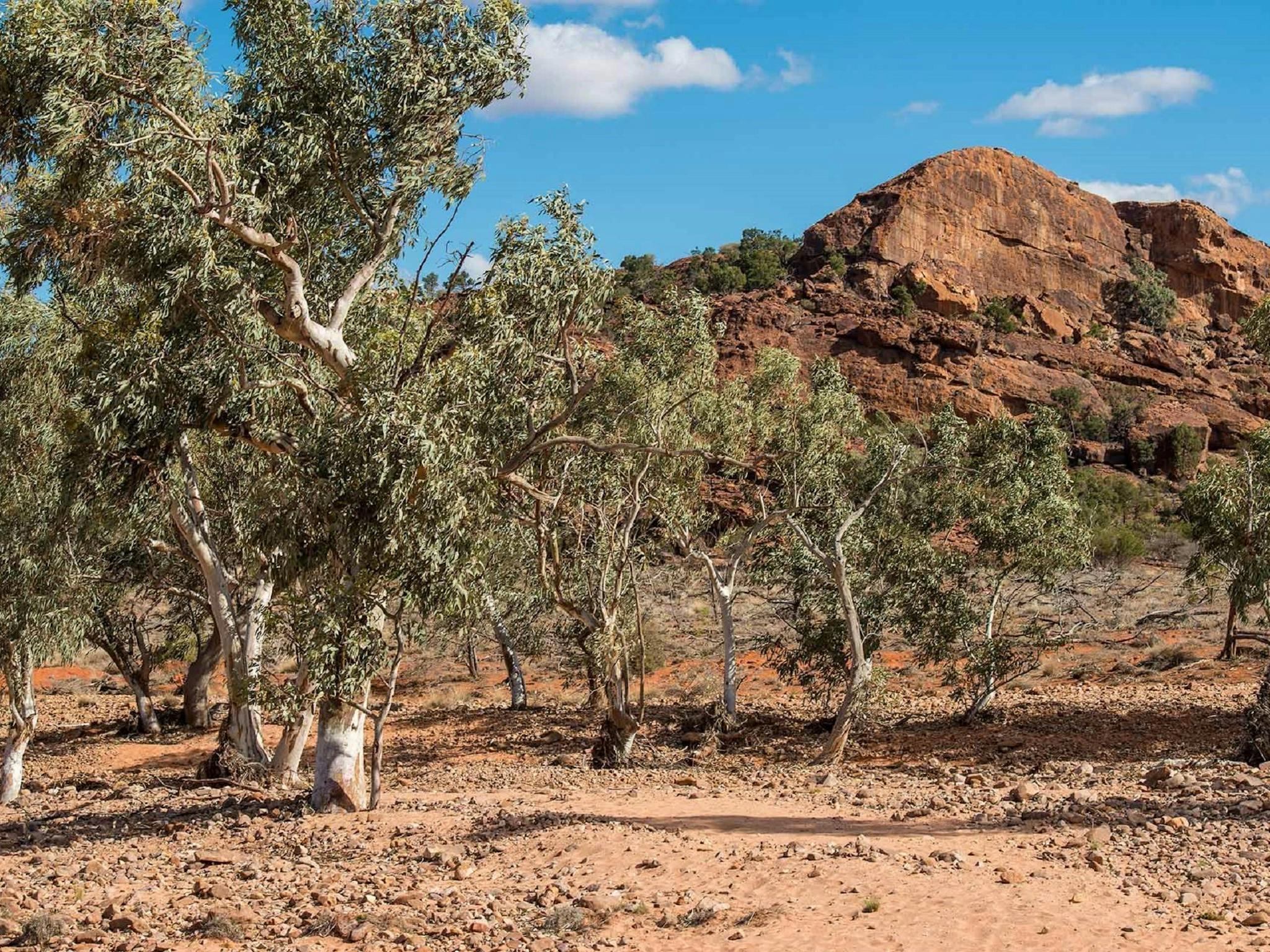 Old Coach Road drive, Mutawintji National Park