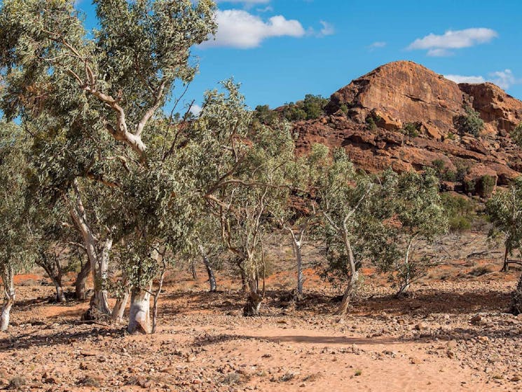 Old Coach Road drive, Mutawintji National Park