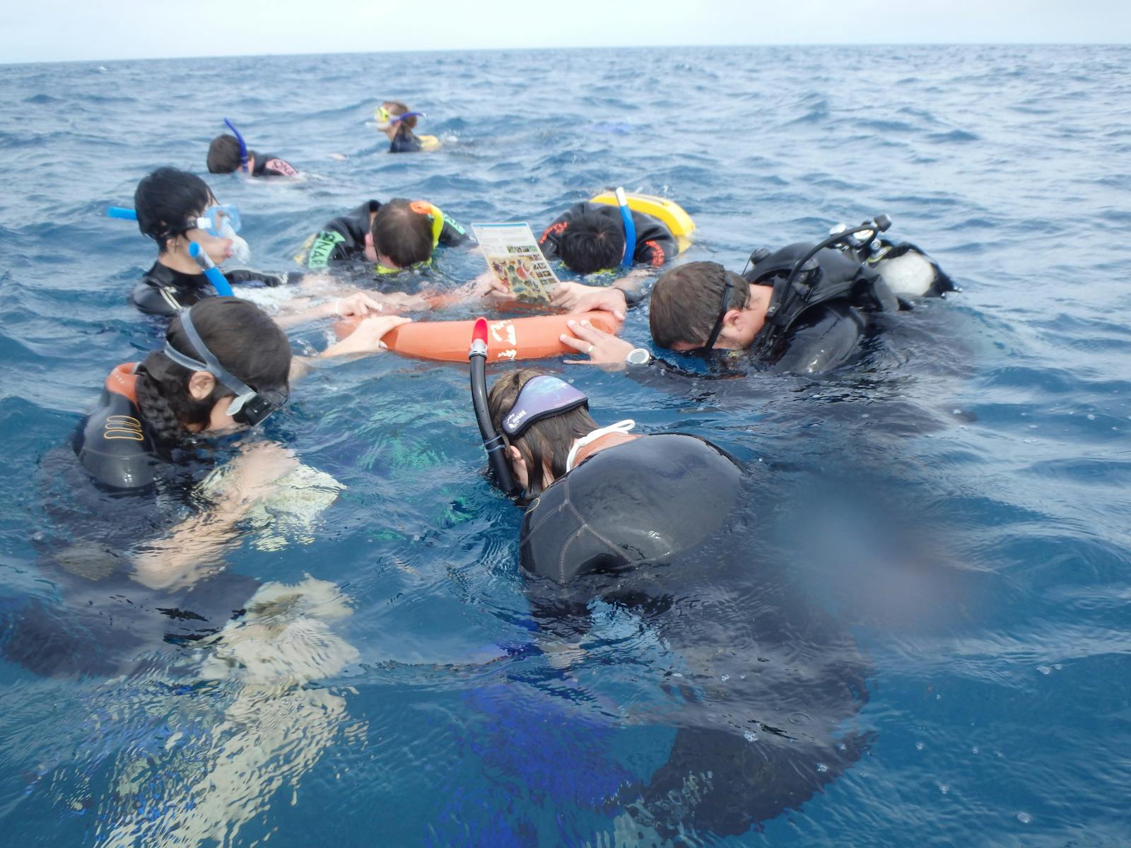 Student excursions to the Great Barrier Reef
