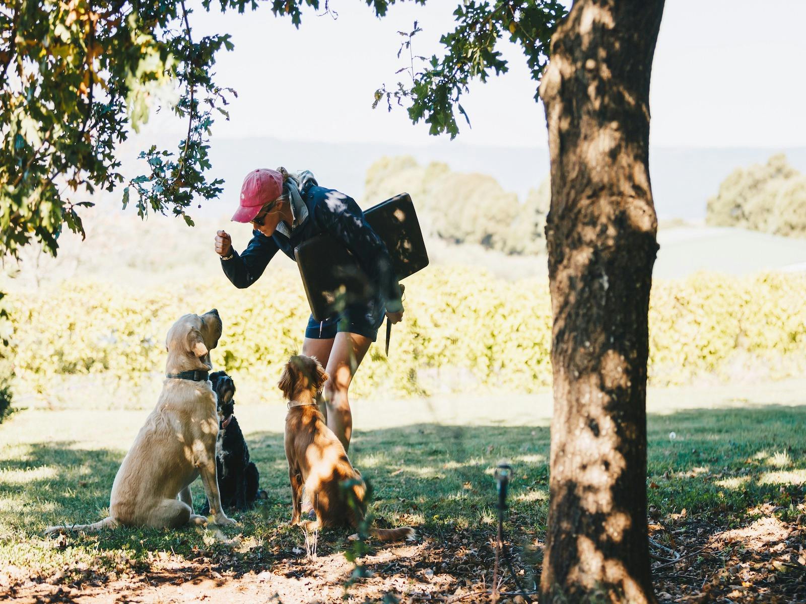 Truffle Farm truffle hunt