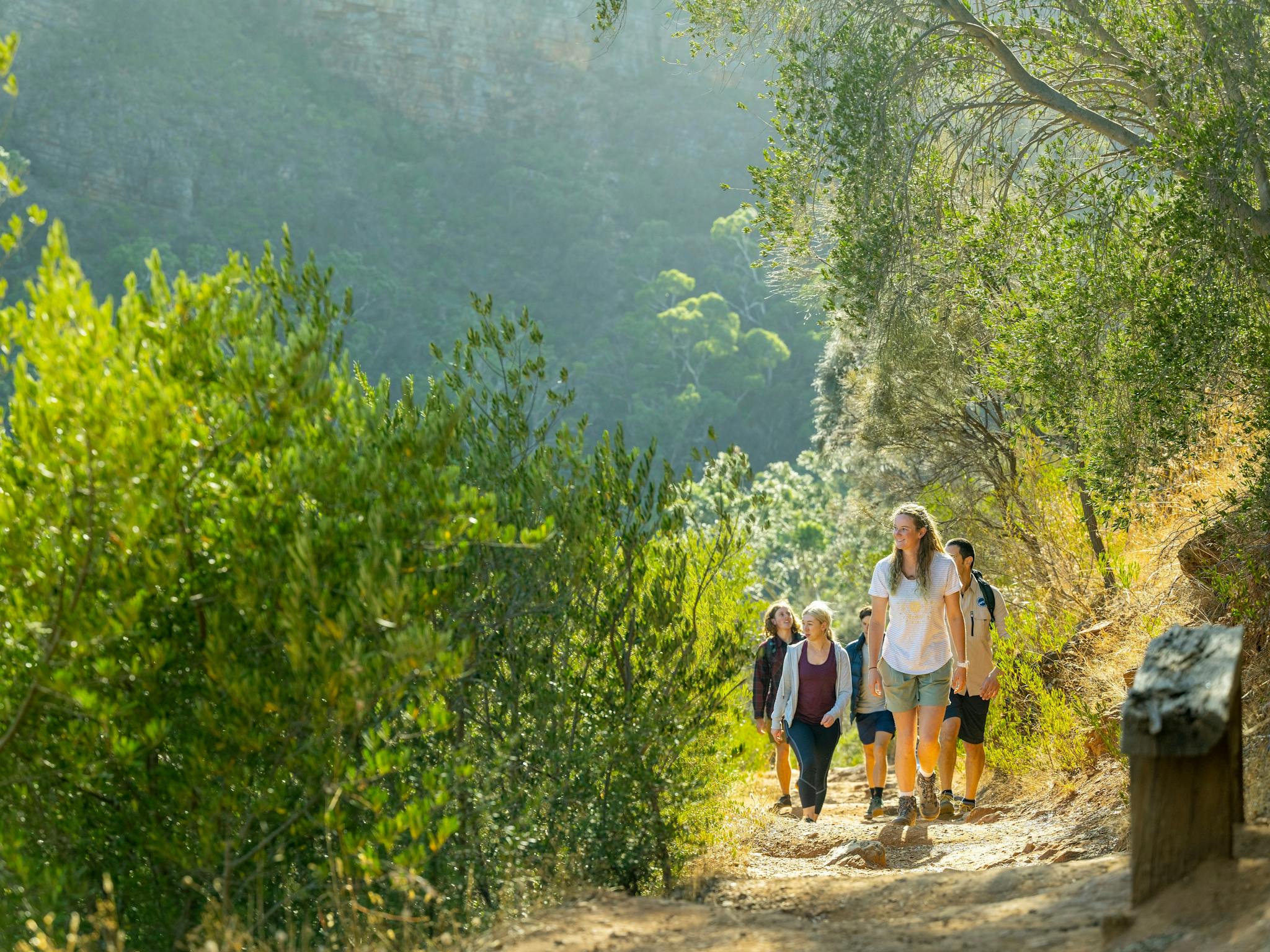 Hikers follow the paths at Morialta up to the Giant's Cave
