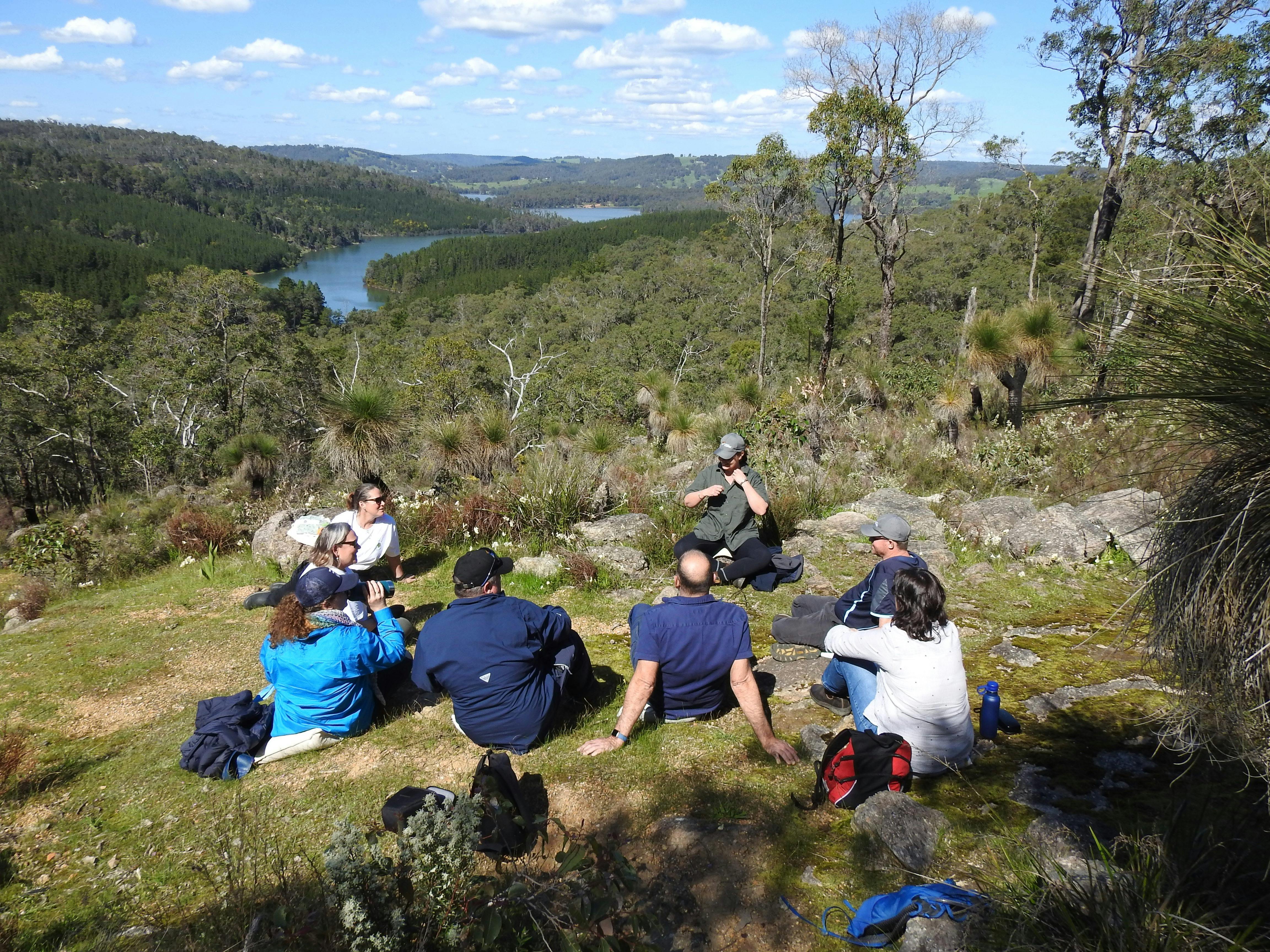 picnic