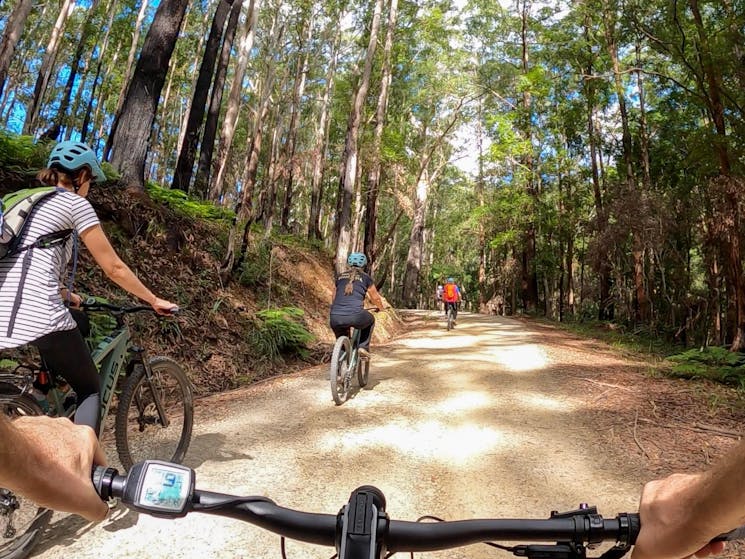 E Bike riders on a hilly section of gravel road in Mount Jerusalem National Park near Byron Bay