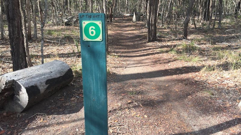 Toogoom Mountain Bike Trails and Skills Park