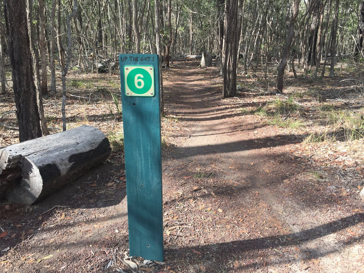 photo of the start point sign for route six at Toogoom Mountain Bike Trails