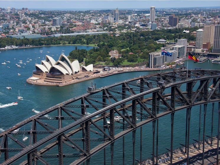 Sydney First Fleet ferries competing in the annual Ferrython Race