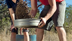 Fossicking Rubyvale