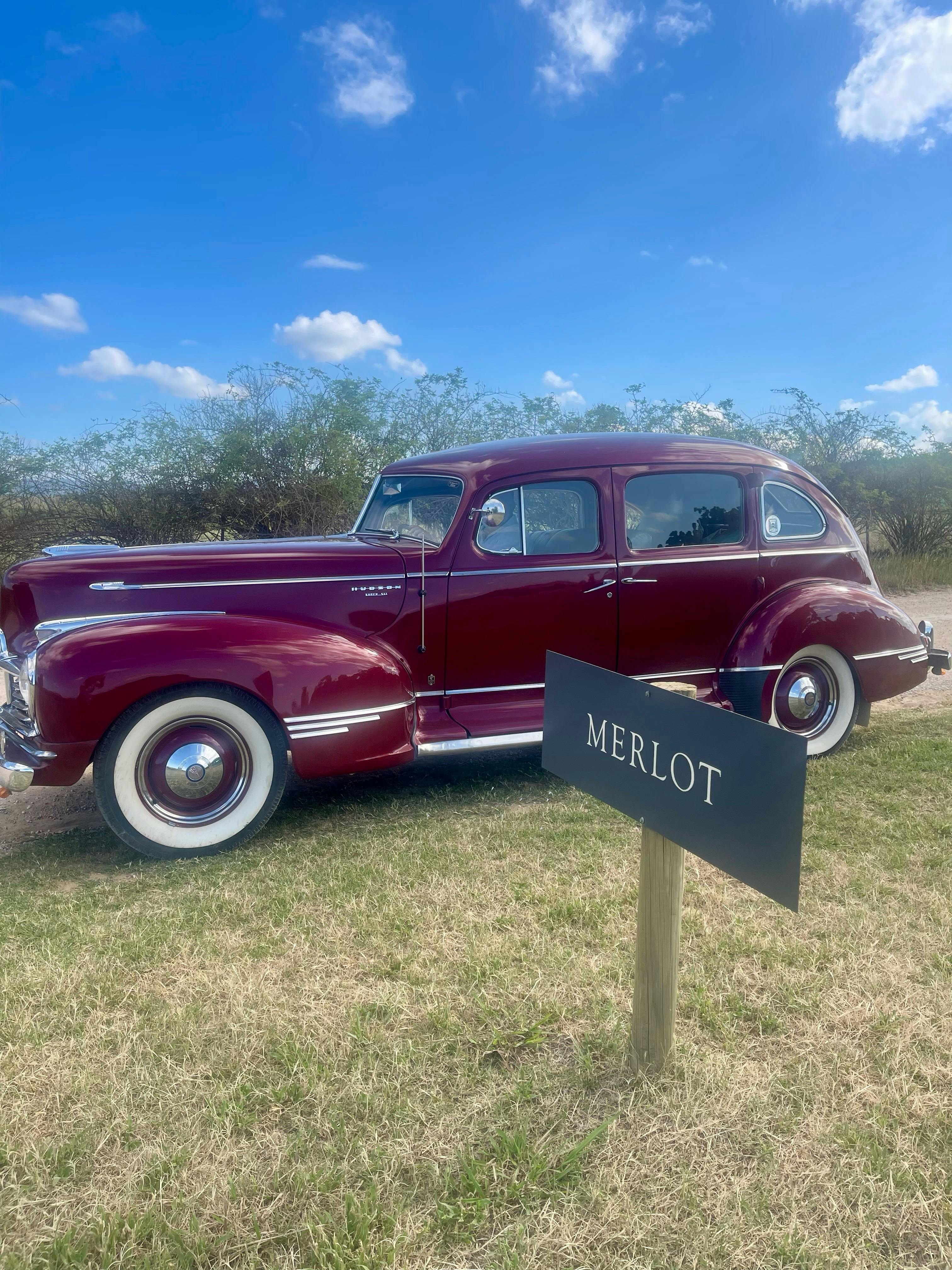 Red Hudson sedan in a vineyard