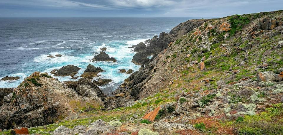 King Island Tours photo