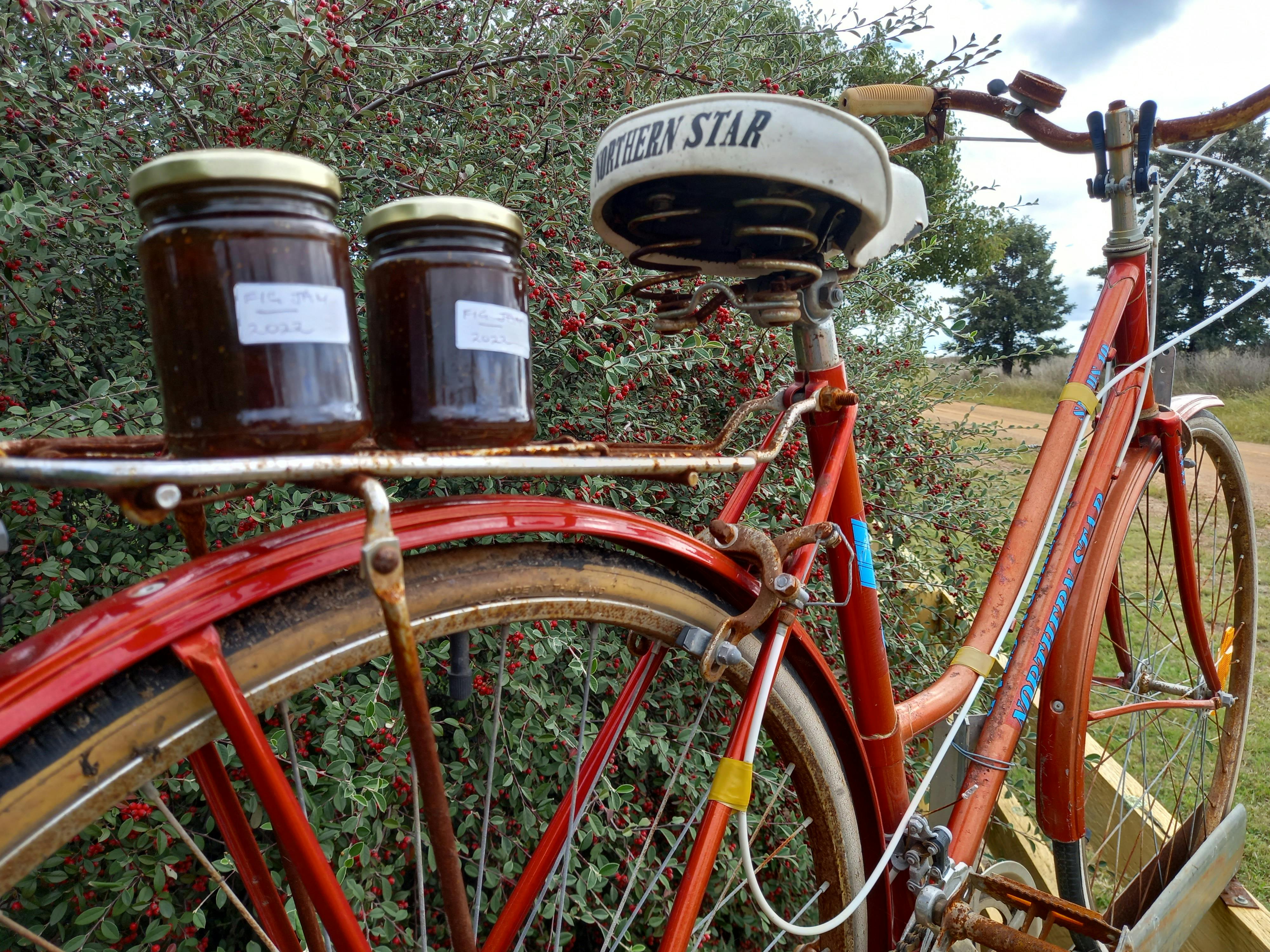 Bicycle at the gate of Mayfield Station