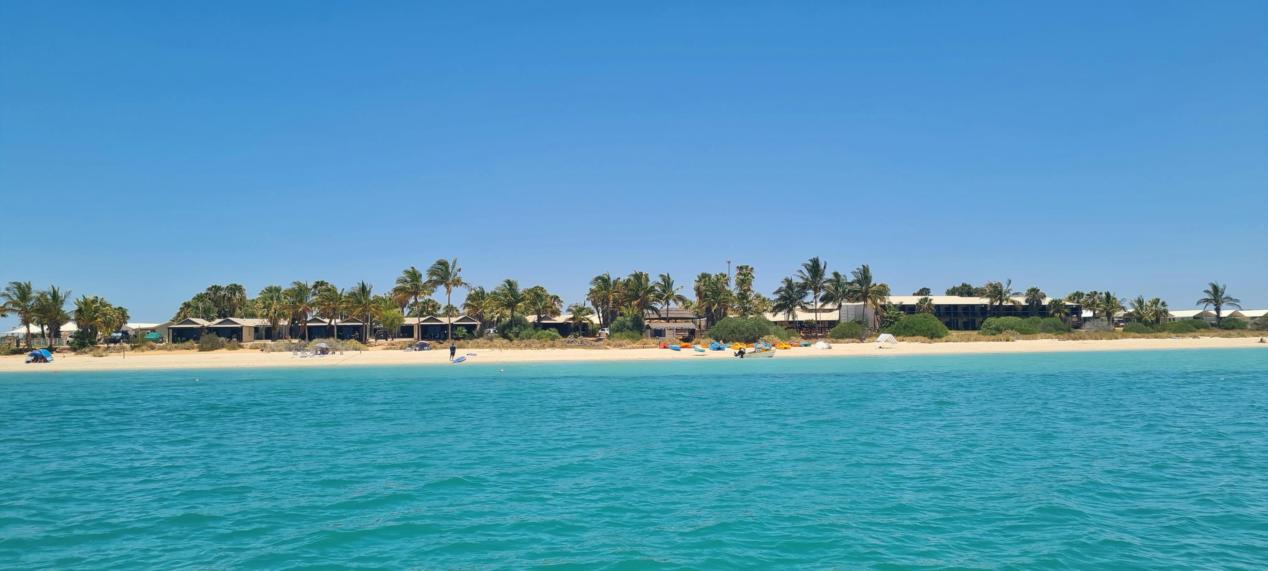 Monkey Mia 5 day tour Blue Juice Charters