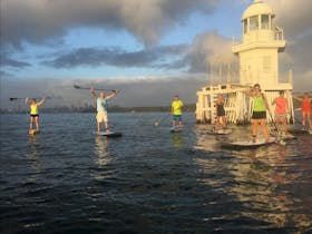 Stand Up Paddling, Sydney Harbour, Watsons Bay