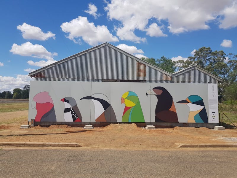 Caragabal Bird Art