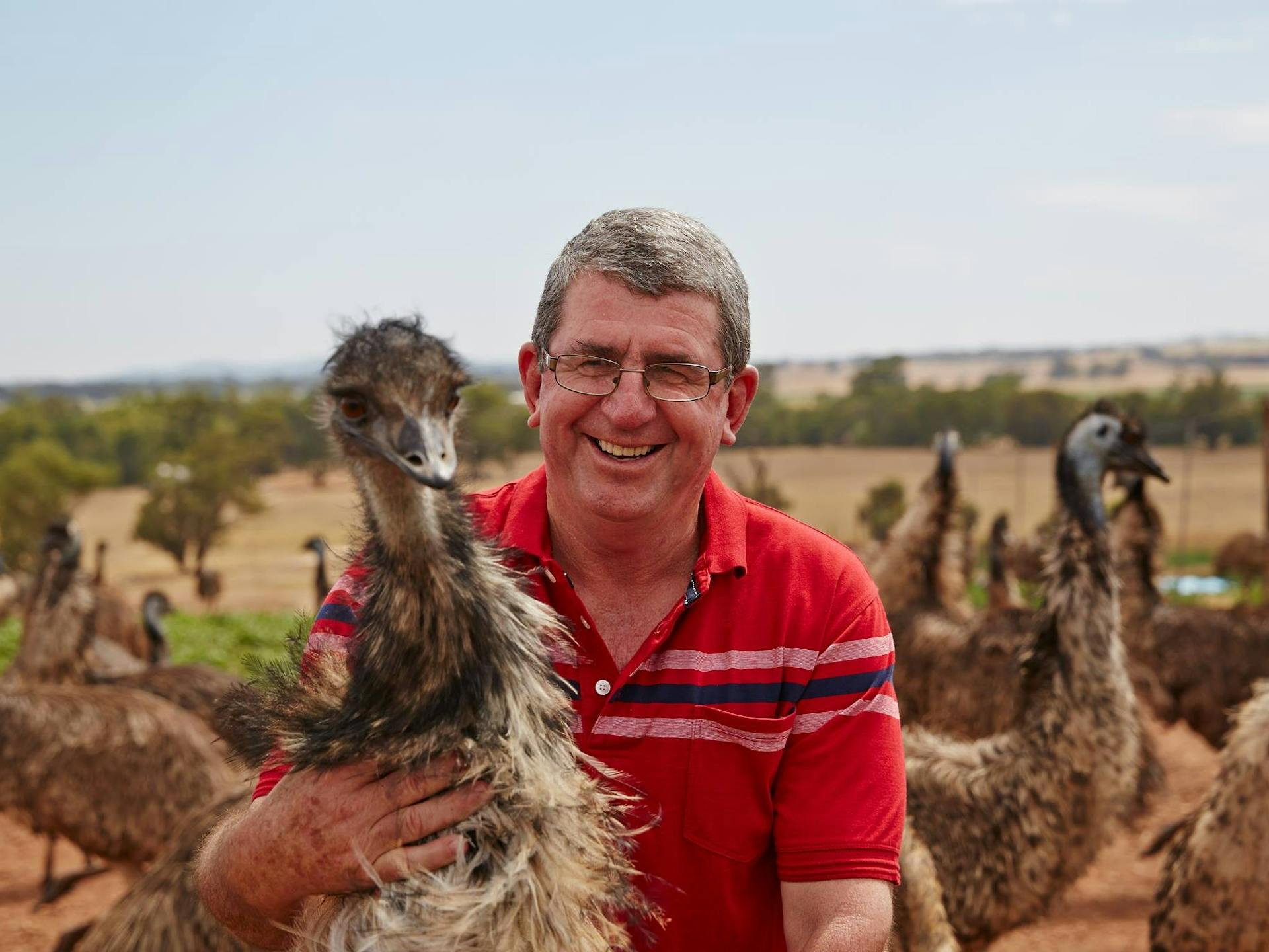 Emu Farm The Rocks Marrocka Emu Farm in The Rock - The Fold: Your Guide to Everything ...
