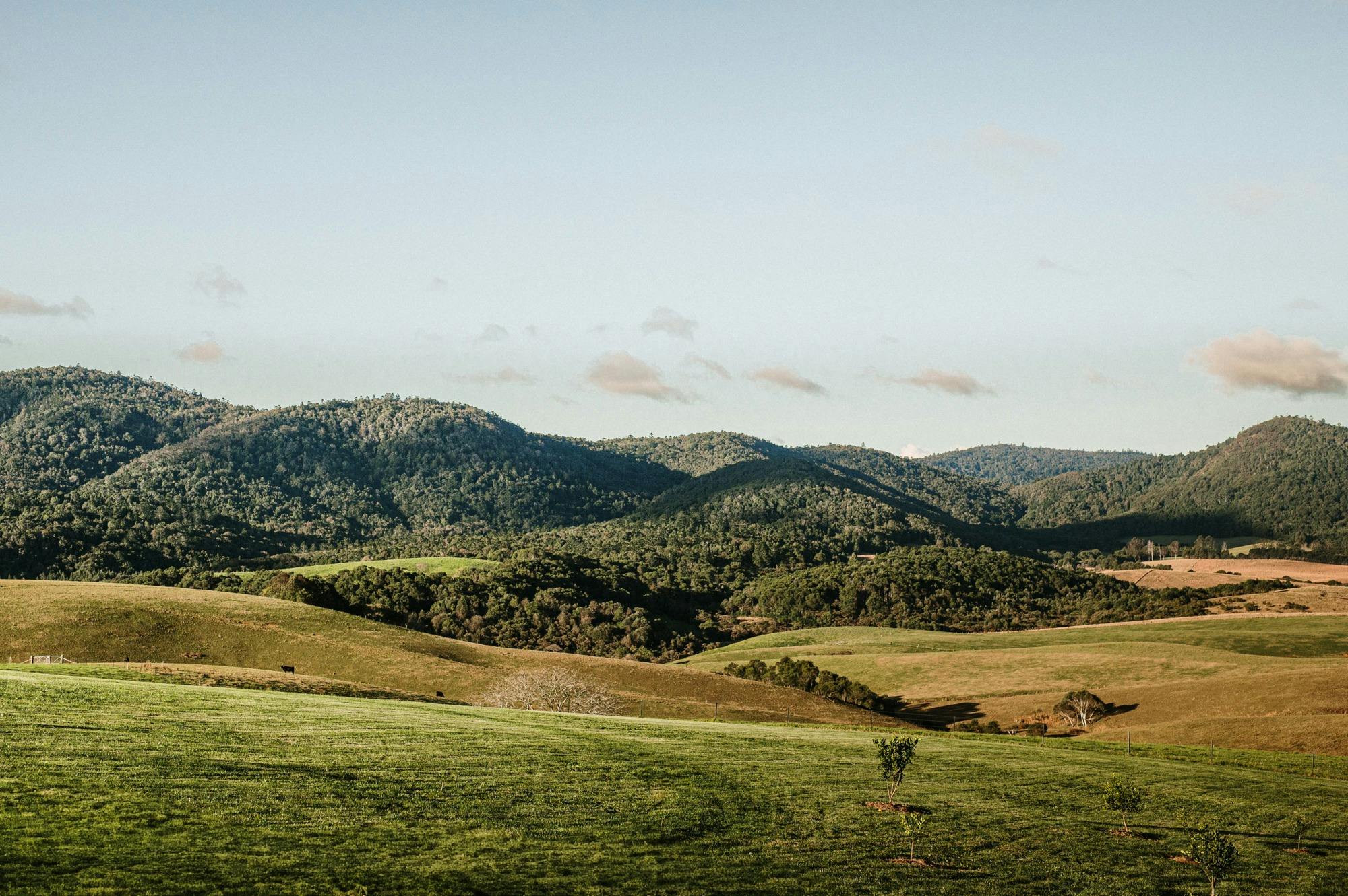 Photo of farmland and rolling green hills