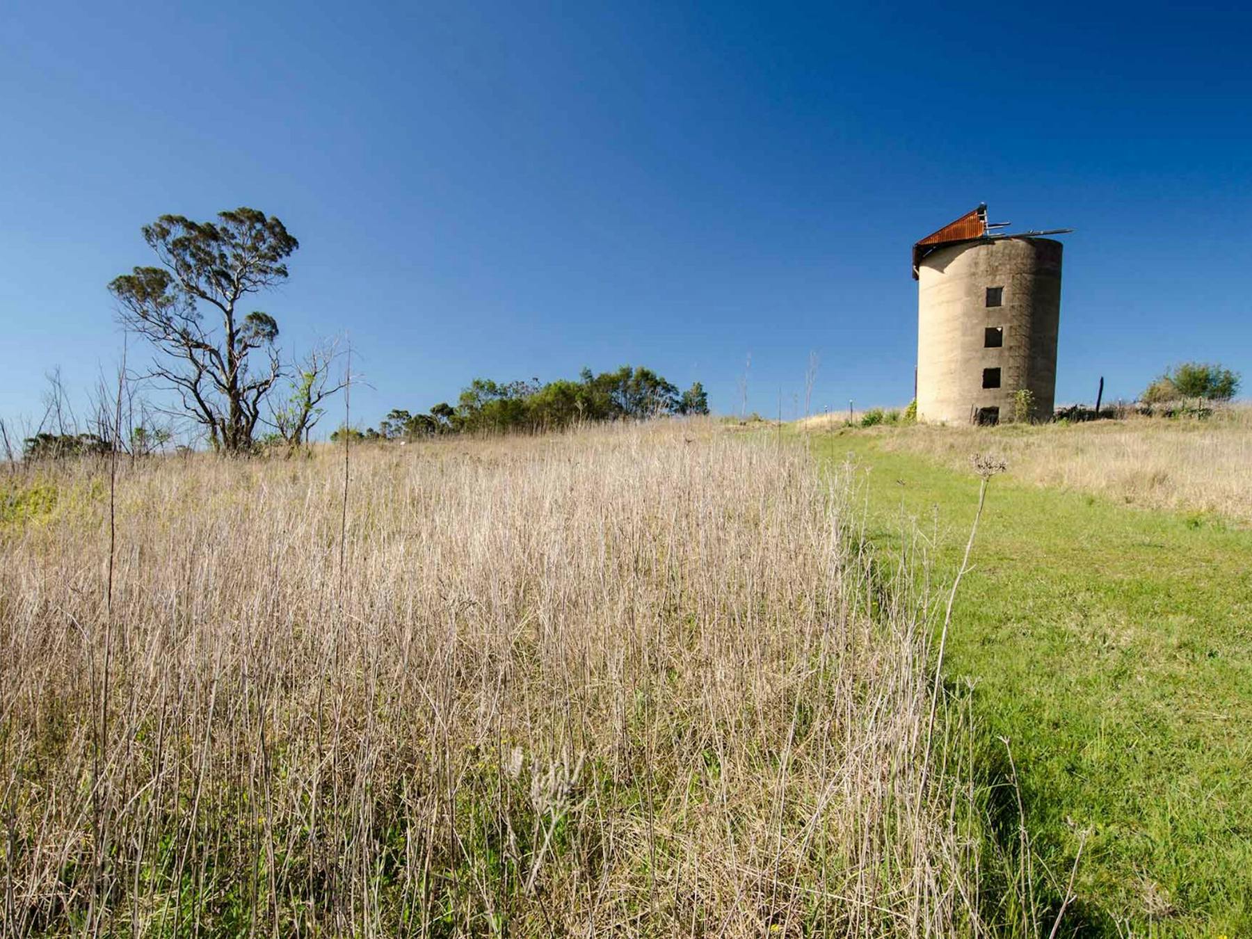 Migrant Heritage walk, Scheyville National Park. Photo: John Spencer