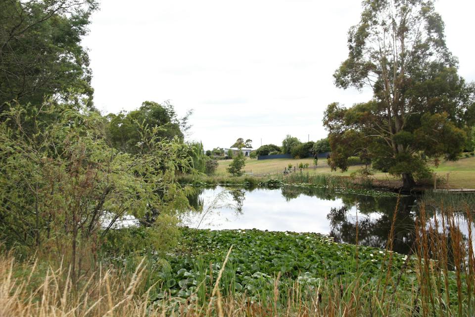 Clayton Drive Reserve, Spreyton photo