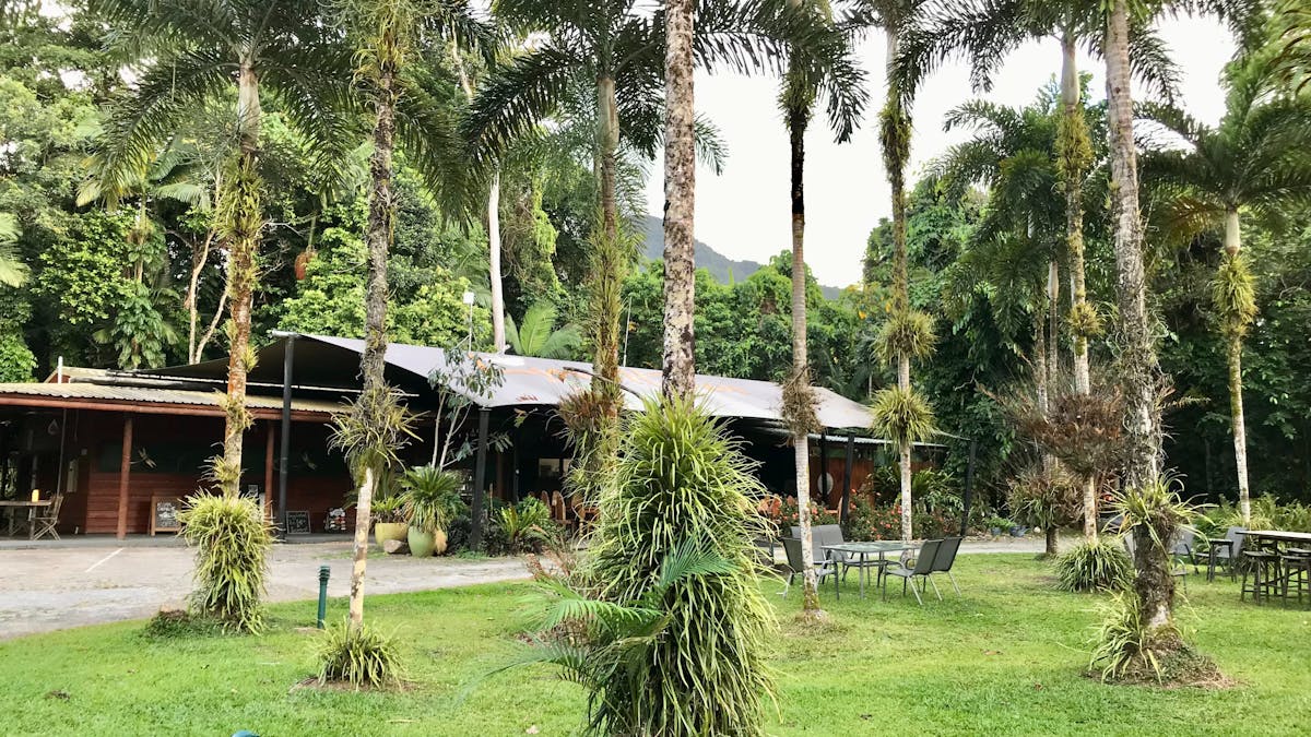 Daintree Siesta Reception & Restaurant, Daintree Rainforest
