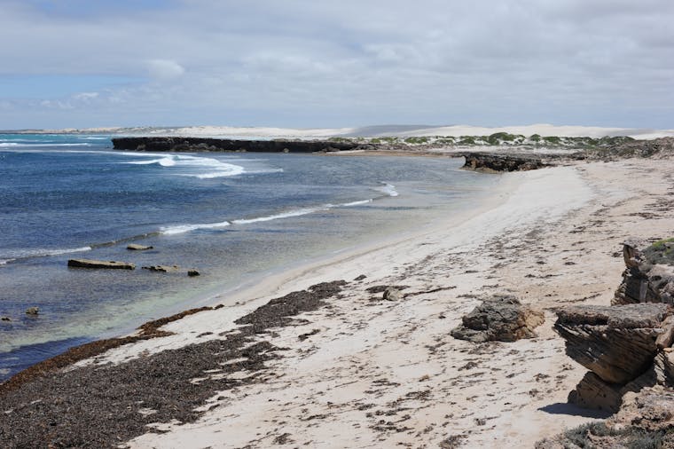 BIG4 Ceduna Tourist Park