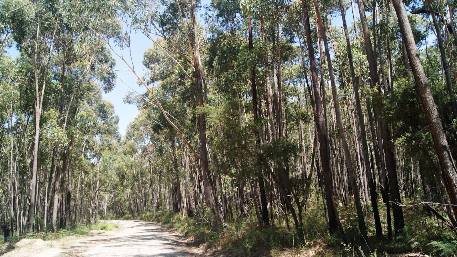 Alfred National Park