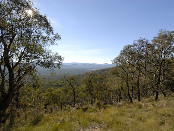 Bunyip State Park