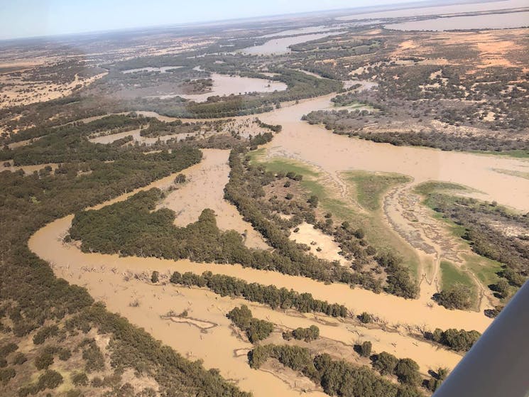 The Darling River