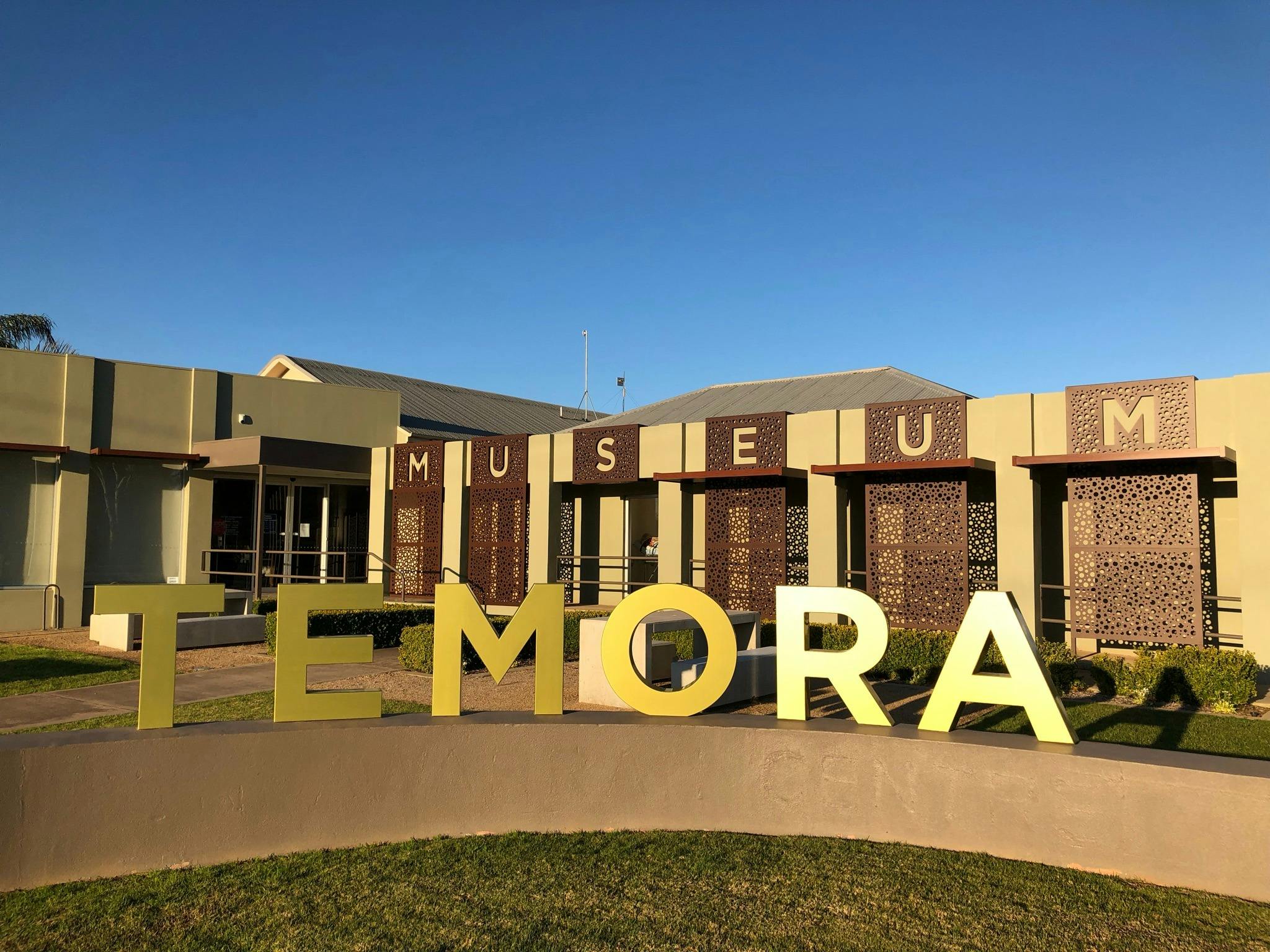 Brush with Art - Temora