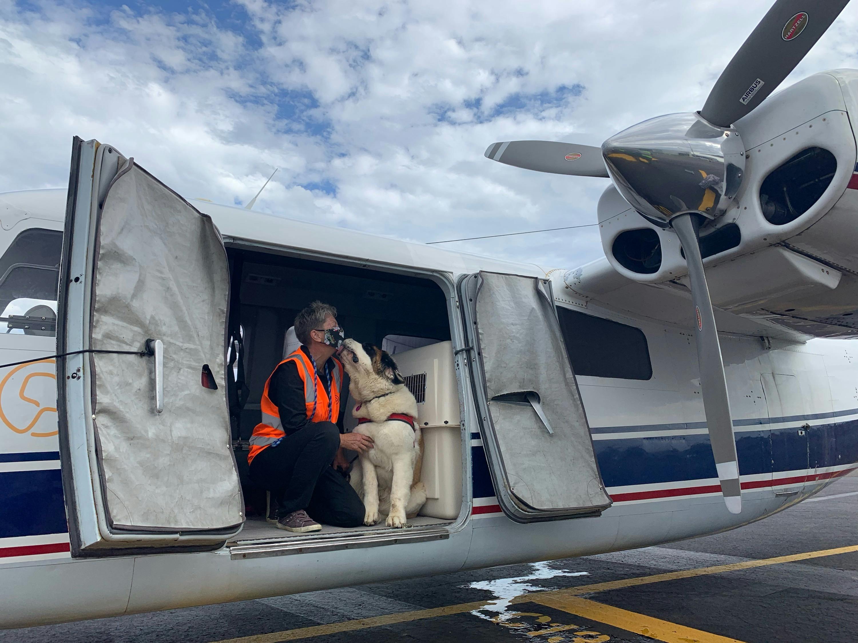 Dog with Pawmobile crew on plane