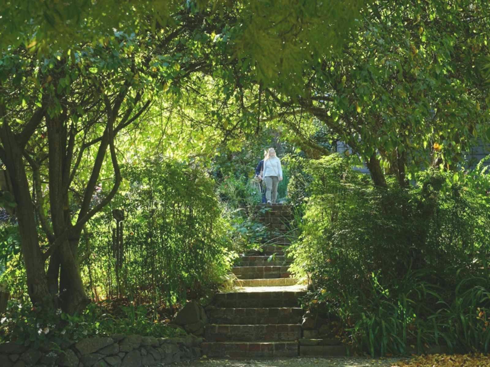 Southern Highlands Autumn Open Gardens Weekend