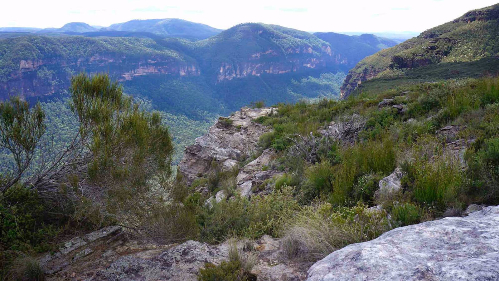 Mount Hay Road, Leura