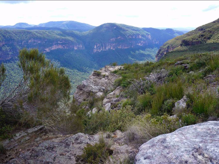 Mount Hay Road Leura, Blue Mountains National Park. Photo: Steve Alton/NSW Government