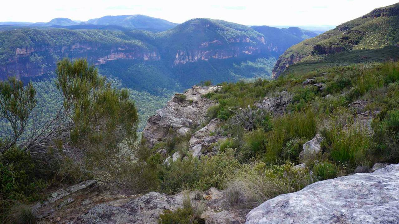 Mount Hay Road, Leura