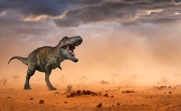 Six Extinctions