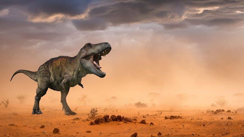Image for Six Extinctions