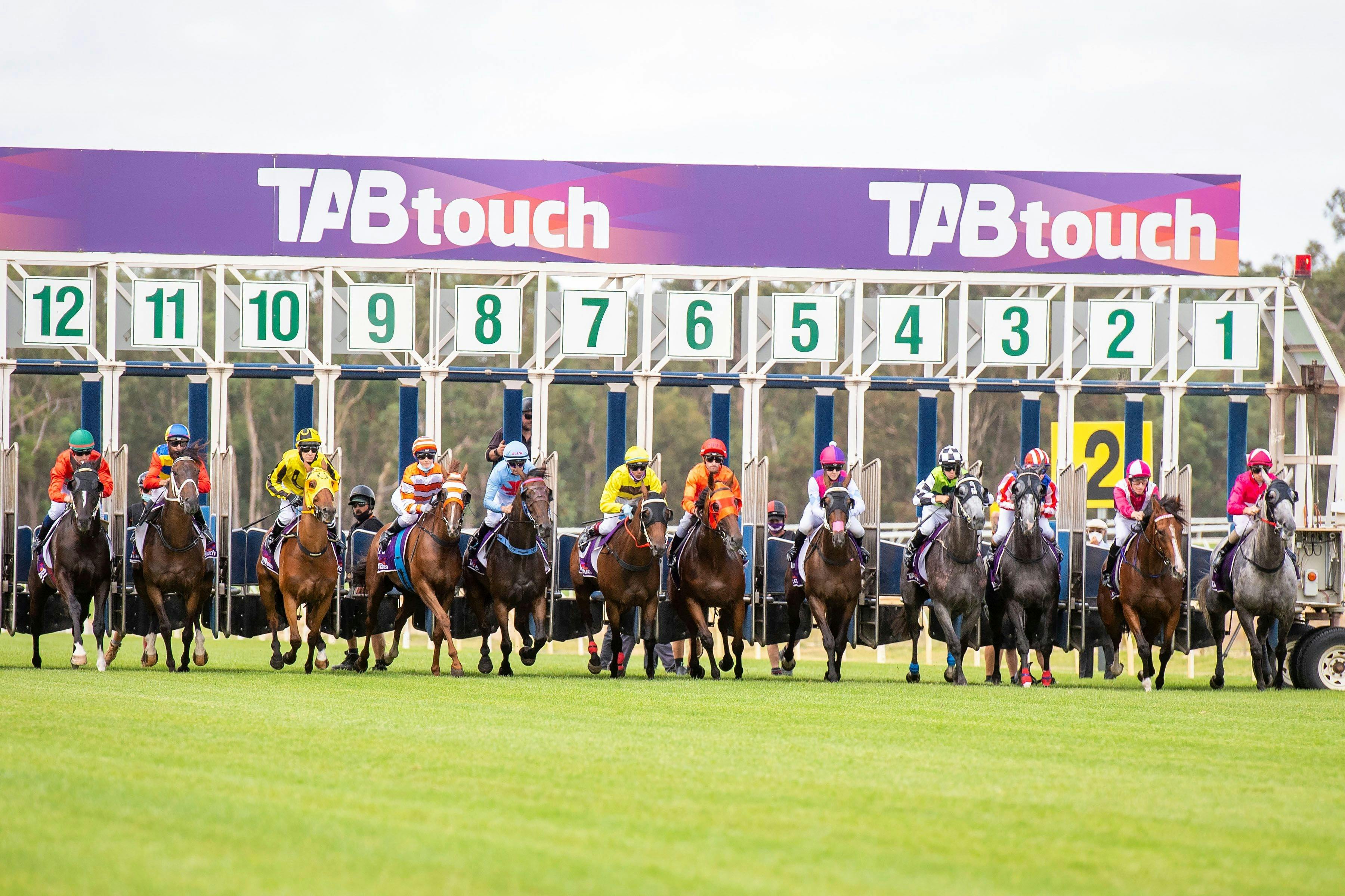 Pinjarra Park starting gates
