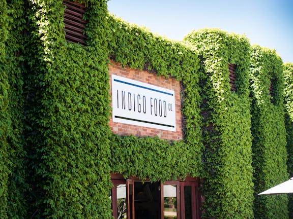 Indigo Food Co.