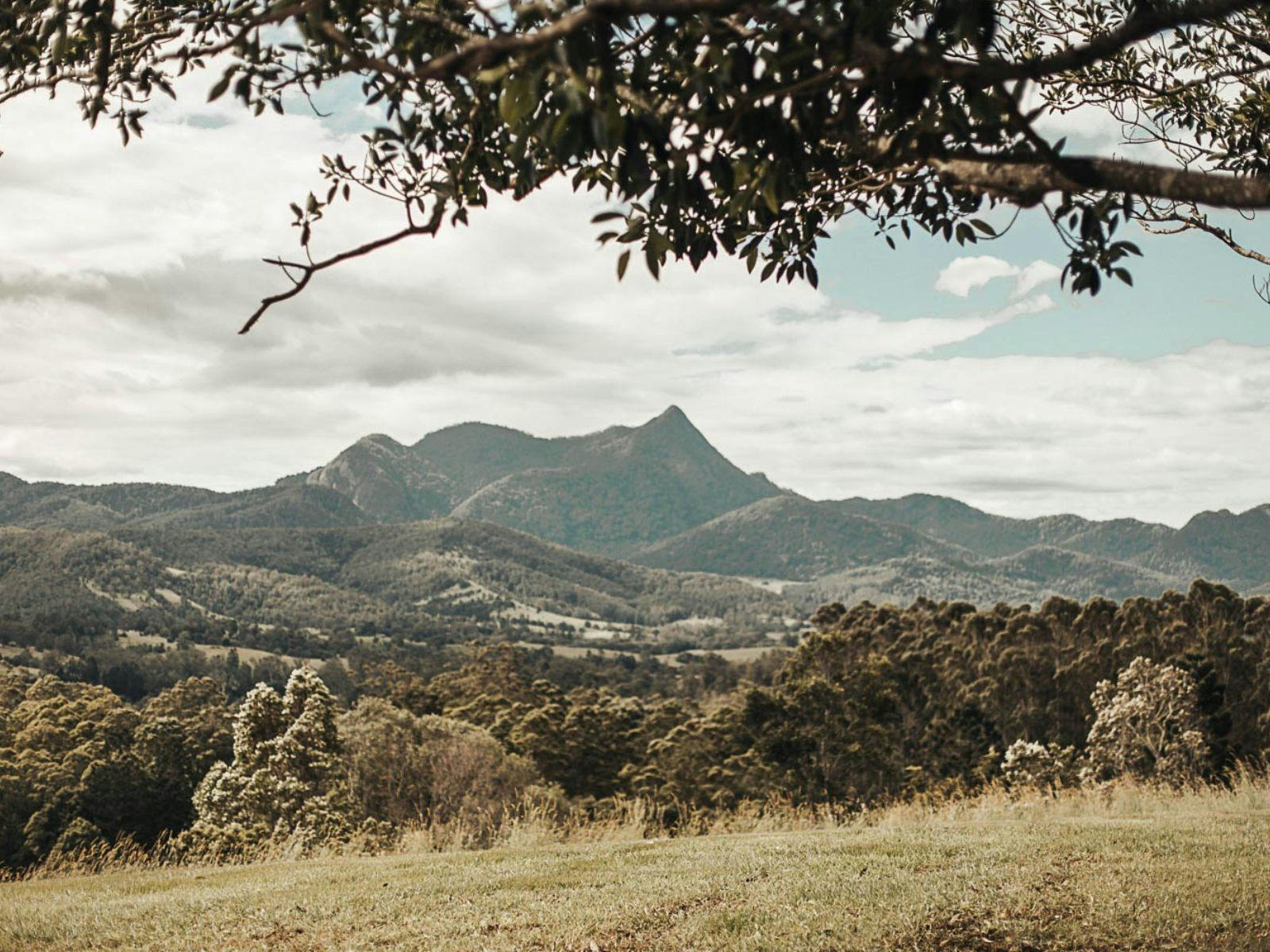 306deg views of Mt Warning/Wollumbin & the escarpment of Night Cap National Park