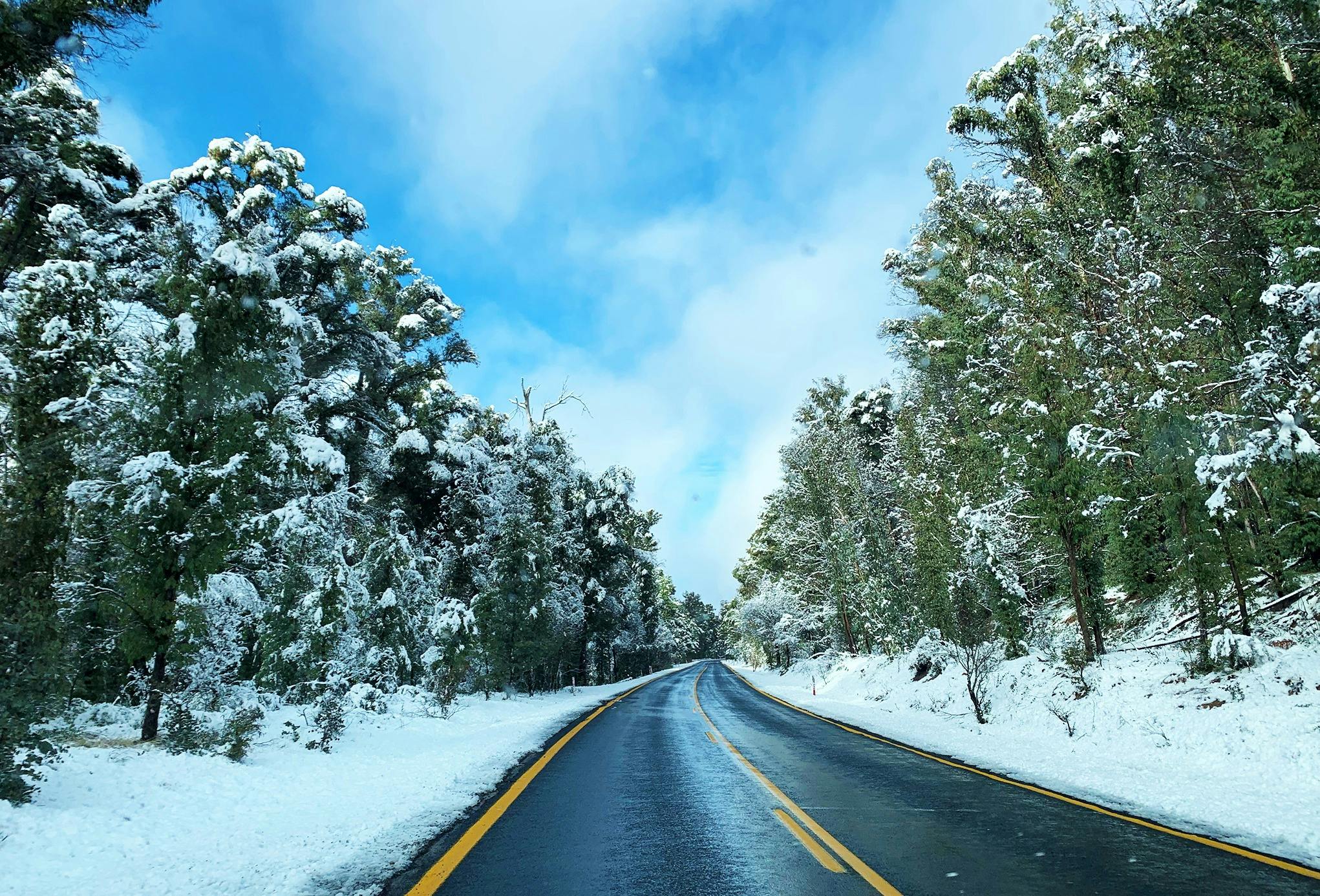 The Snowy Mountains Hwy on the way to Yarrangobilly Caves, and Historic Kiandra