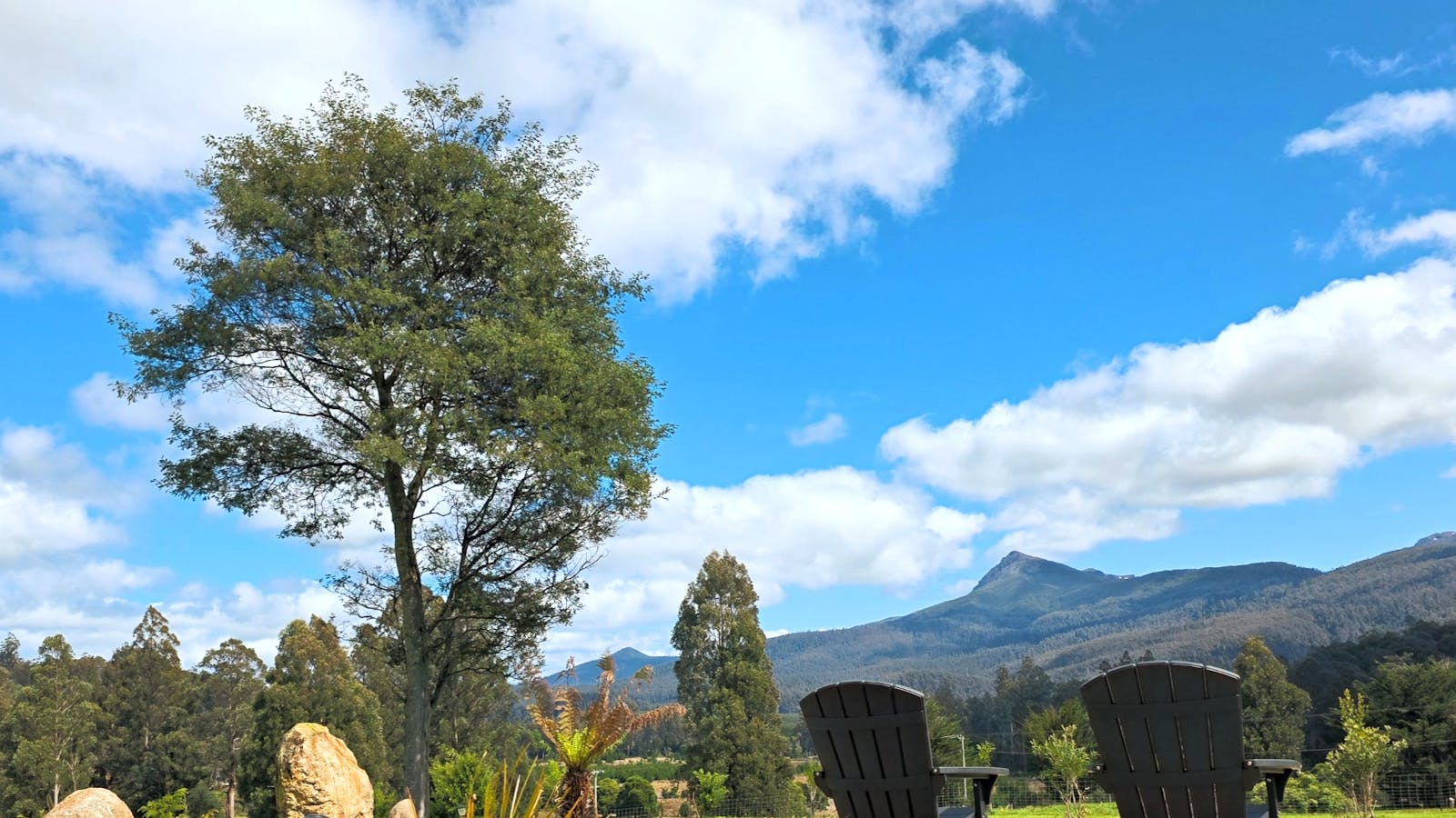 Relax in Adirondack chairs with views over the garden, forest backdrop and Mt Field’s mountains