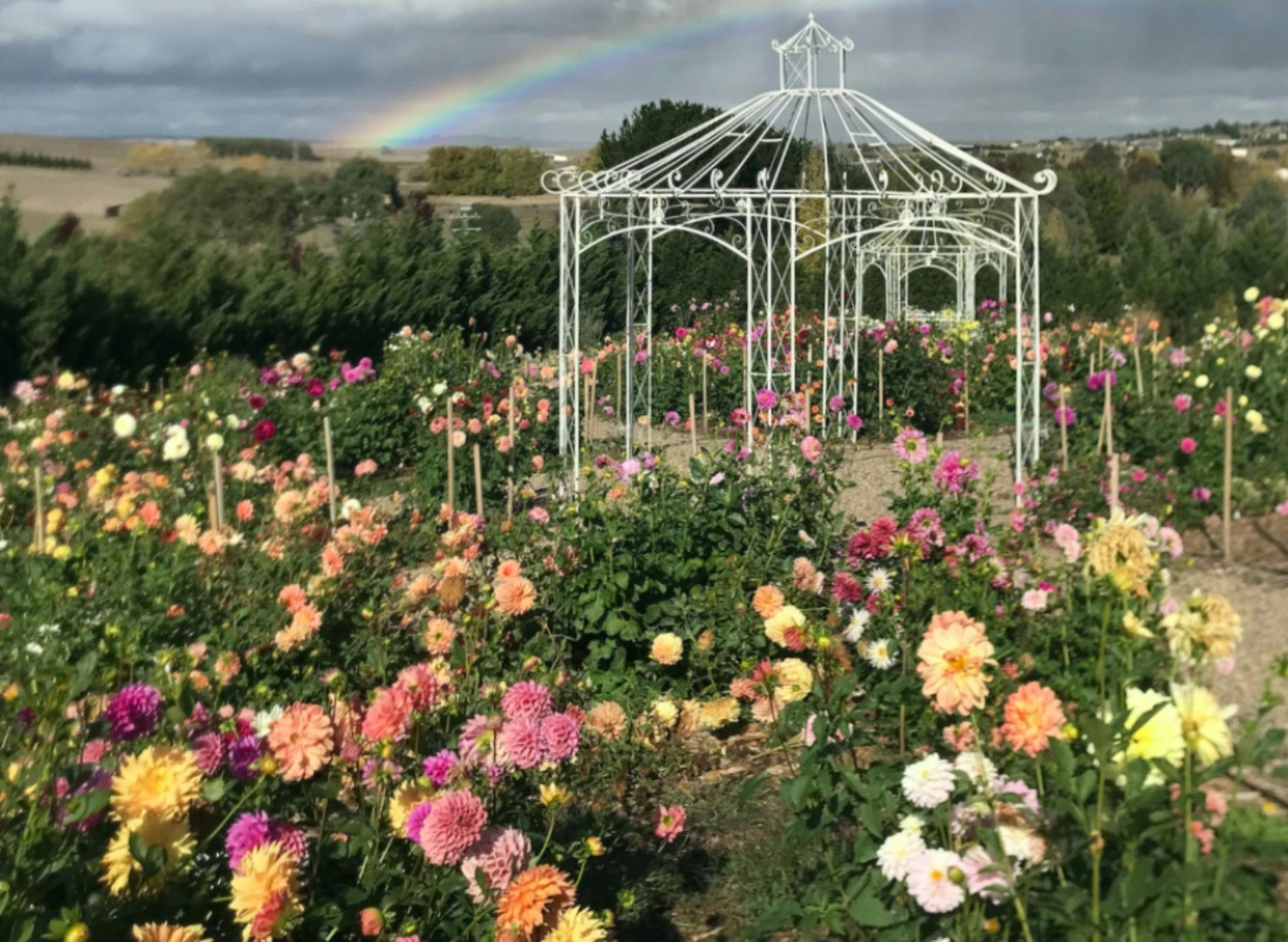 New Hope - Open Garden